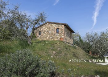 Rustic Olmo, 6, Sinalunga - photo 9