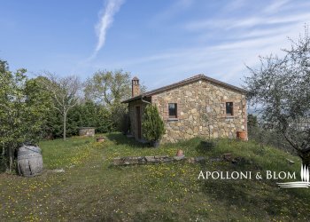 Rustic Olmo, 6, Sinalunga - photo 11