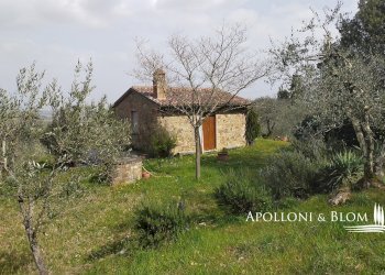 Rustic Olmo, 6, Sinalunga - photo 13