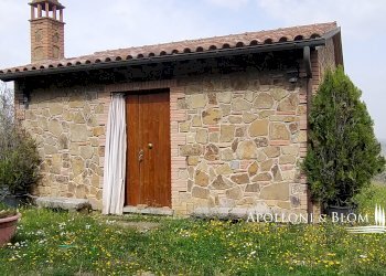 Rustic Olmo, 6, Sinalunga - photo 14