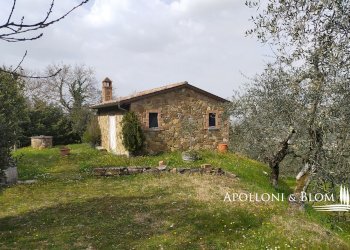 Rustic Olmo, 6, Sinalunga - photo 15