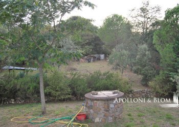 Rustic Olmo, 6, Sinalunga - photo 16