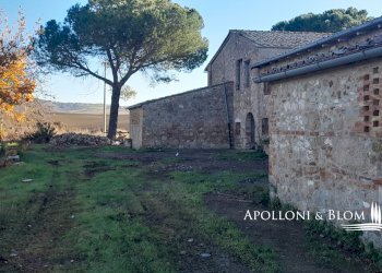 Rustic SP del Monte Amiata, 17, Pienza - photo 7