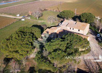 Rustic SP del Monte Amiata, 17, Pienza - photo 16