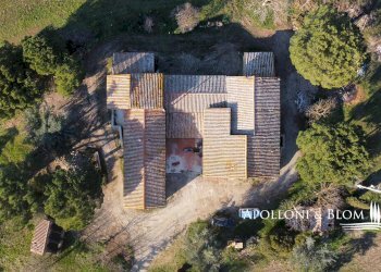 Rustic SP del Monte Amiata, 17, Pienza - photo 17