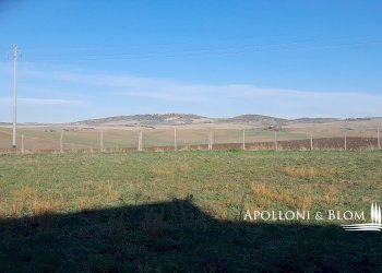 Rustic SP del Monte Amiata, 17, Pienza - photo 29