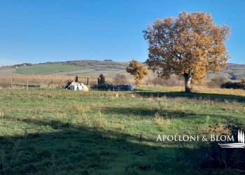 Rustic SP del Monte Amiata, 17, Pienza - photo 30