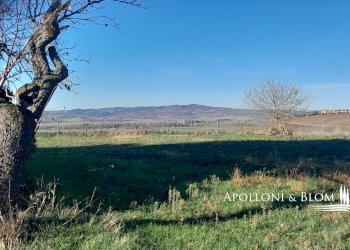 Rustic SP del Monte Amiata, 17, Pienza - photo 31