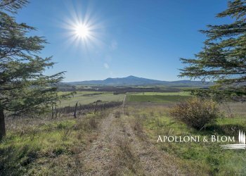Rustic SP del Monte Amiata, 17, Pienza - photo 32