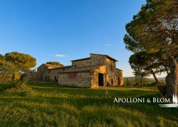 Rustic SP del Monte Amiata, 17, Pienza - photo 17