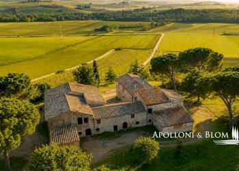 Rustic SP del Monte Amiata, 17, Pienza - photo 22
