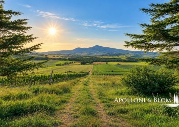 Rustic SP del Monte Amiata, 17, Pienza - photo 25