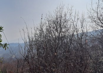 Casale Via Olmetto, 210, Bagnolo Piemonte - photo 7