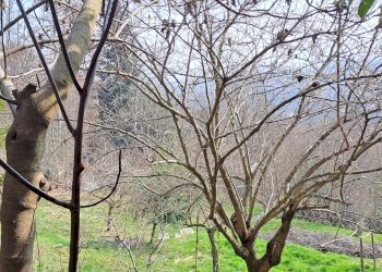 Casale Via Olmetto, 210, Bagnolo Piemonte - photo 20