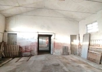 Magazzino Mirandola - foto 6