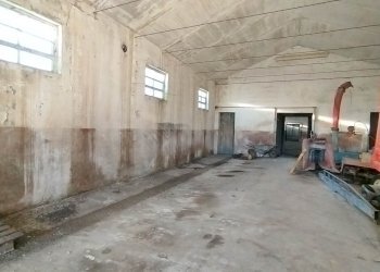 Magazzino Mirandola - foto 10