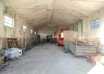 Magazzino Mirandola - foto 11