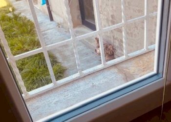 Foto 20 - Casa indipendente Via Antenore Soffritti
 
25, Ferrara - foto 20