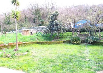 Foto 25 - Casa semi indipendente Piane Tronto
 
snc, Controguerra - foto 25