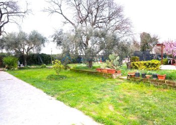 Foto 26 - Casa semi indipendente Piane Tronto
 
snc, Controguerra - foto 26