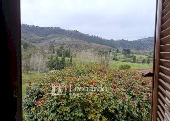 Foto 12 - Casa indipendente Via Melaio, Camaiore - foto 12