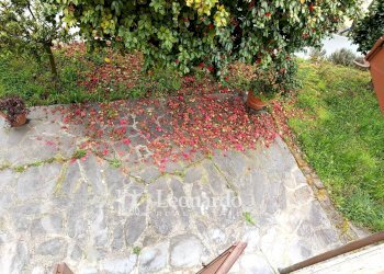 Foto 22 - Casa indipendente Via Melaio, Camaiore - foto 22