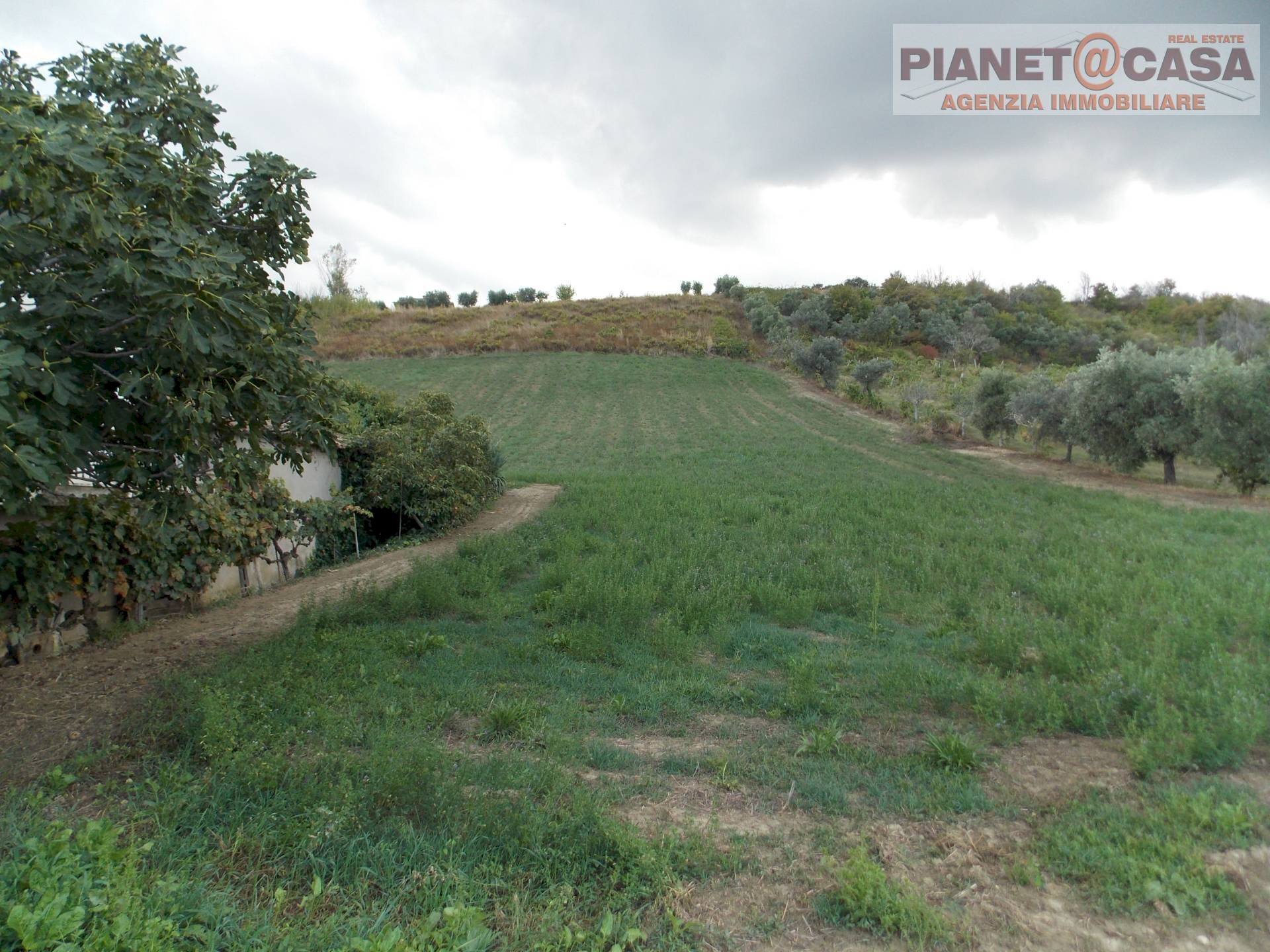 Foto 2 - Independent house Via Tronto, Ancarano - photo 2