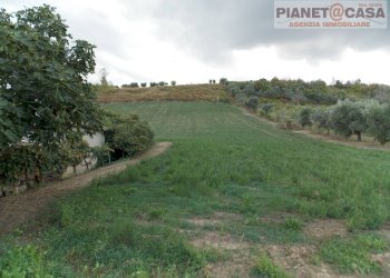 Foto 31 - Casa indipendente Via Tronto, Ancarano - foto 31