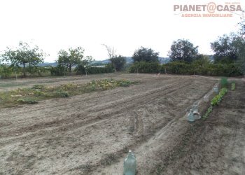 Foto 33 - Casa indipendente Via Tronto, Ancarano - foto 33