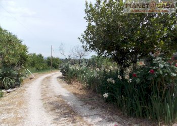 Foto 39 - Independent house Via Tronto, Ancarano - photo 39