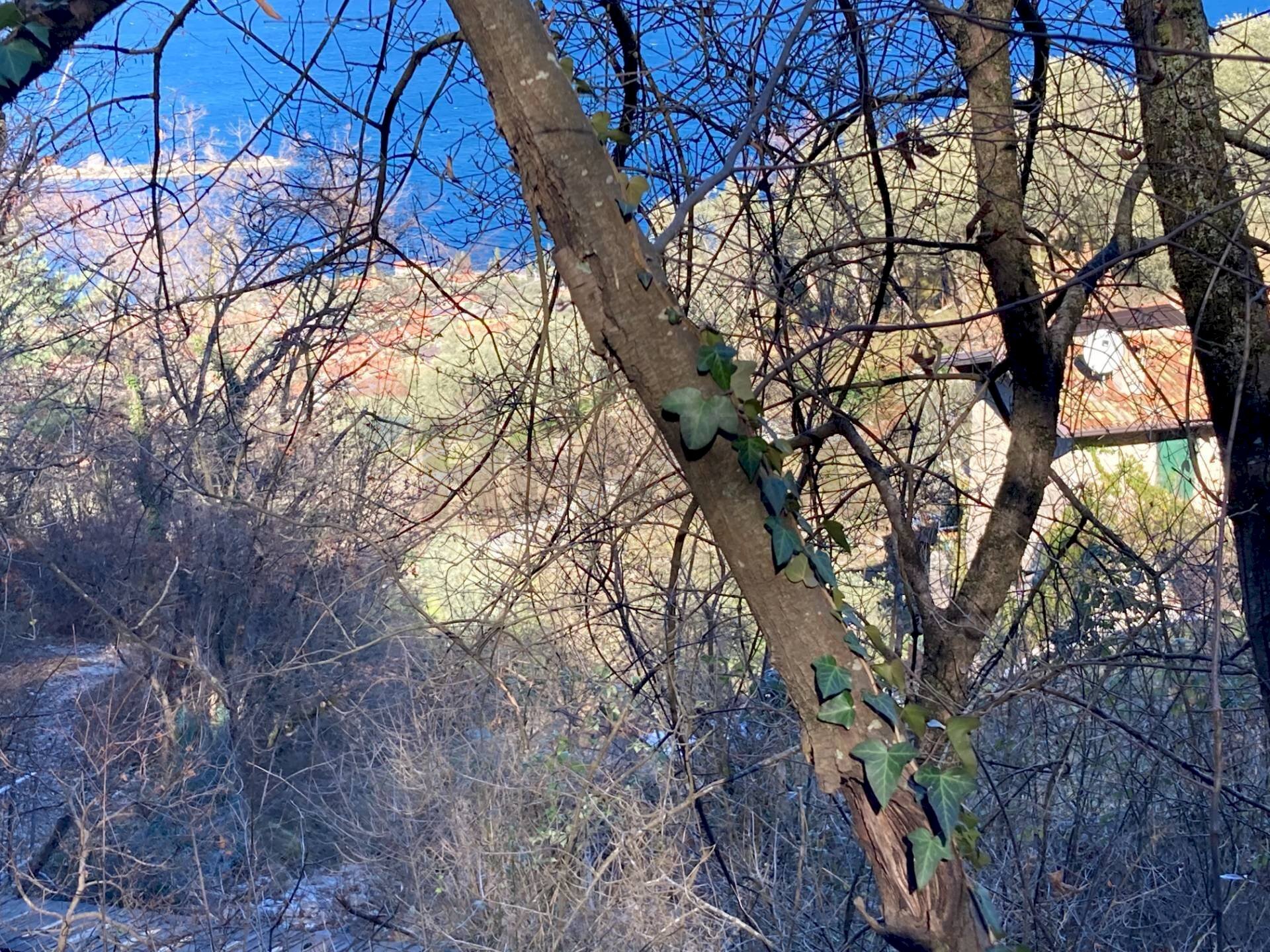 Edificio all\'aperto - Terreno edificabile Brenzone sul Garda - foto 2