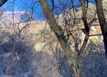 Edificio all\'aperto - Terreno edificabile Brenzone sul Garda - foto 2