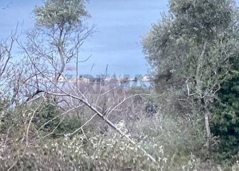 Non correlato - Terreno edificabile Brenzone sul Garda - foto 4