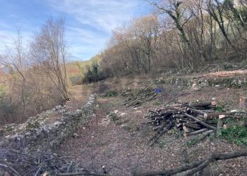 Giardino - Terreno edificabile Brenzone sul Garda - foto 5