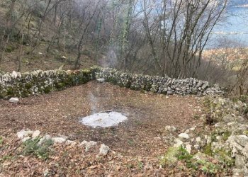 Giardino - Terreno edificabile Brenzone sul Garda - foto 7