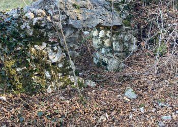 Giardino - Terreno edificabile Brenzone sul Garda - foto 10