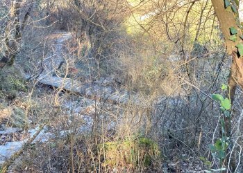 Non correlato - Terreno edificabile Brenzone sul Garda - foto 11