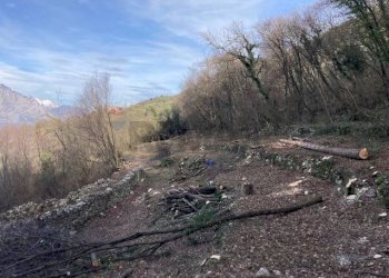 Vista delle montagne - Terreno agricolo Brenzone sul Garda - foto 6