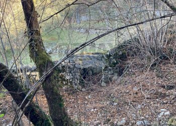 Vista delle montagne - Terreno agricolo Brenzone sul Garda - foto 9