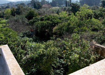 Giardino - Independent house Via Badalucco
 
20, Valderice - photo 5