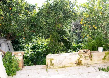 Accesso giardino - Independent house Via Badalucco
 
20, Valderice - photo 20