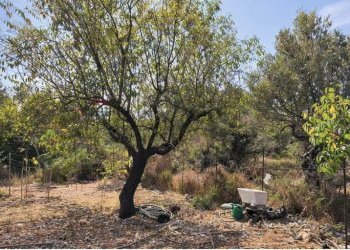 Giardino - Independent house Via Badalucco
 
20, Valderice - photo 41