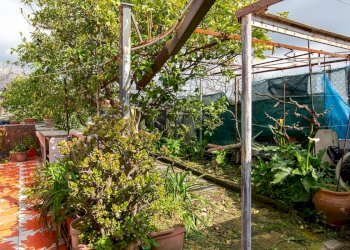 Giardino - Casa indipendente giuseppe mangano
 
35, Zafferana Etnea - foto 18