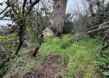 Giardino - Terreno edificabile Via Maugeri
 
202, Valverde - foto 20