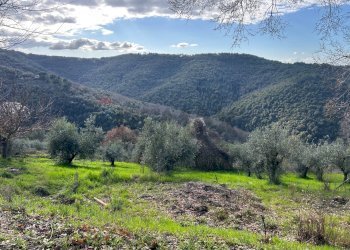 Vista delle montagne - Villa via San Bernardino
 
26, Bettona - foto 51