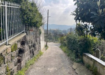Giardino - Casa indipendente CONTRADA LAMIA
 
SNC, Sant'Agata De' Goti - foto 3