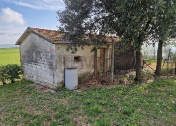 Casa all\'aperto - Rustic Via Fabbrici & Ville
 
69, Senigallia - photo 29