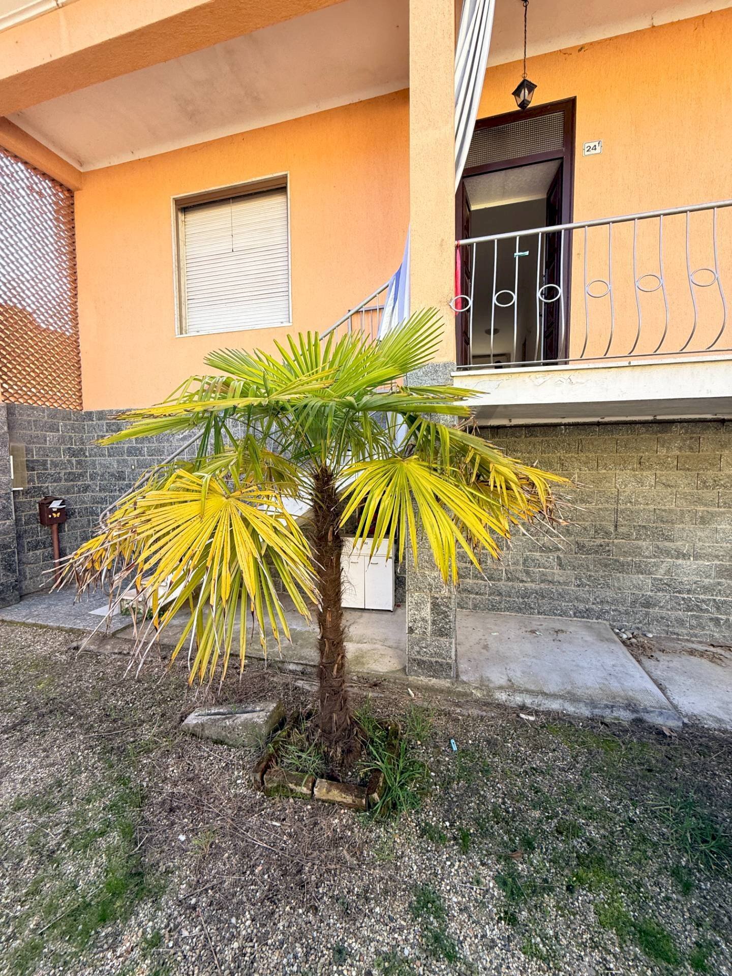 Casa all\'aperto - Casa indipendente via Principale
 
24, Borgarello - foto 3