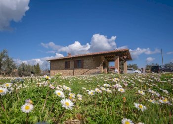 Foto 1 - Casa indipendente Volterra - foto 1