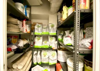 Dispensa di stoccaggio - Attività Commerciale Strada Giuseppe Garibaldi
 
29/B, Parma - foto 13